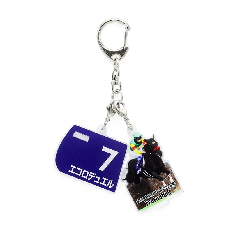 GⅠアクリルキーホルダー【'25中山グランドジャンプ】 | カテゴリー