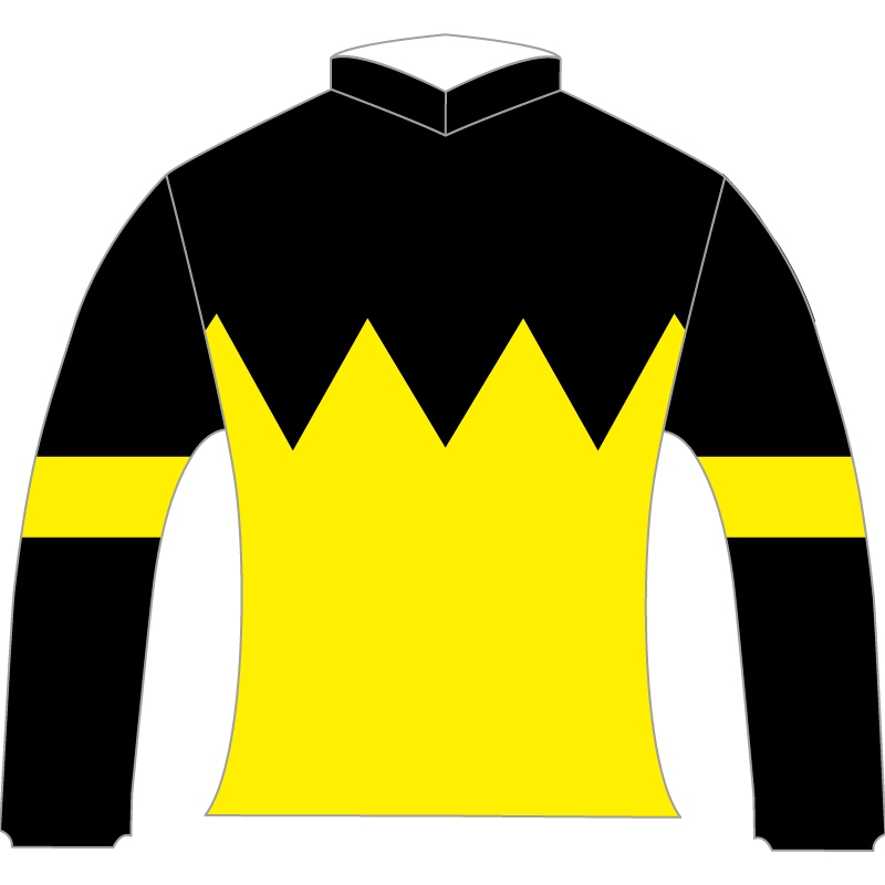 【非売品】「パンジャタワー」NHKマイルカップ優勝記念グッズセット/ブルゾン競馬 非売品】「パンジャタワー」NHKマイルカップ優勝記念グッズ