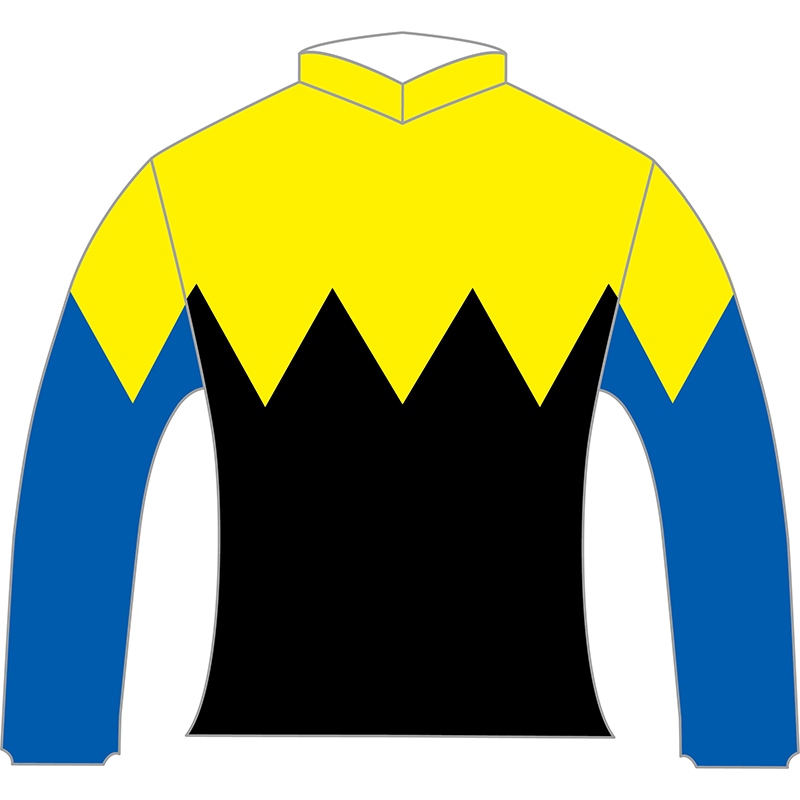 第72回 日本ダービー優勝 ディープインパクト 勝負服レプリカ 2005 4Kリマスター】2005年 日本ダービー（GⅠ） | ディープ