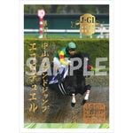 ��ٰ� 2025�滳�����ɥ����סڥ������ǥ奨���