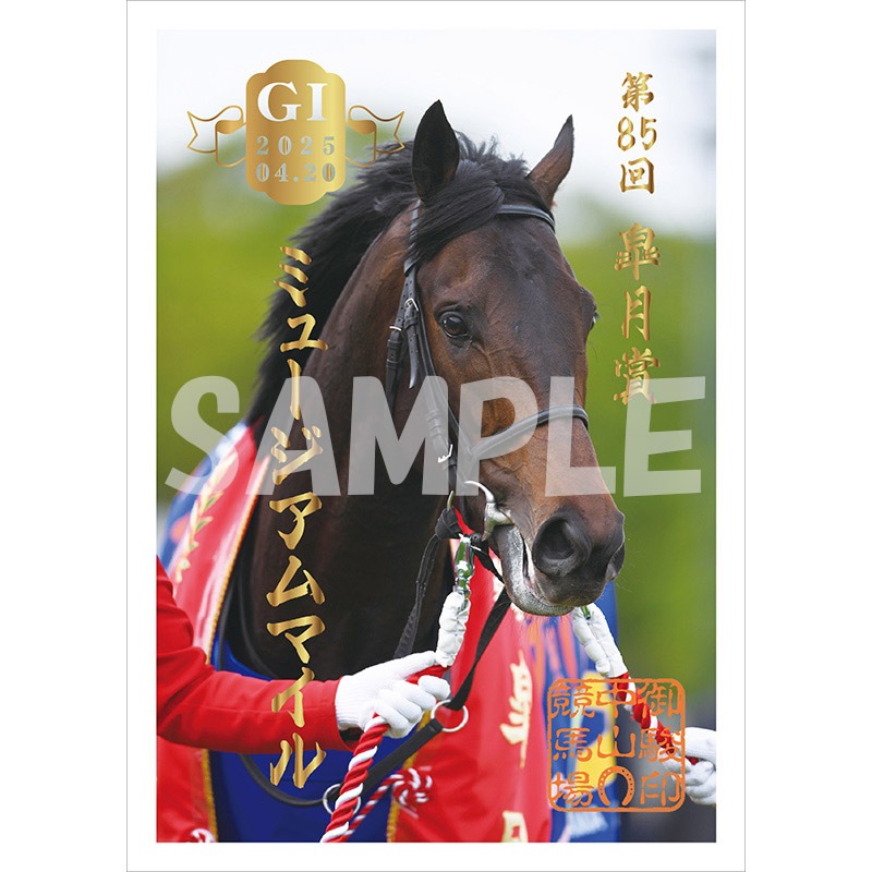 御駿印 2025皐月賞【ミュージアムマイル】 | カテゴリー一覧,御