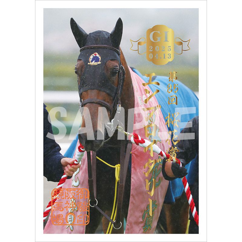 64回 日本ダービー 限定記念Tシャツ ターフィークラブ ターフィーショップ_JRA競馬グッズ (@jra.prc) • Instagram