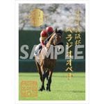 JRA 全国競馬場限定 御駿印 10種 Amazon.co.jp: JRA 東京競馬場 御駿印 御朱印 限定グッズ