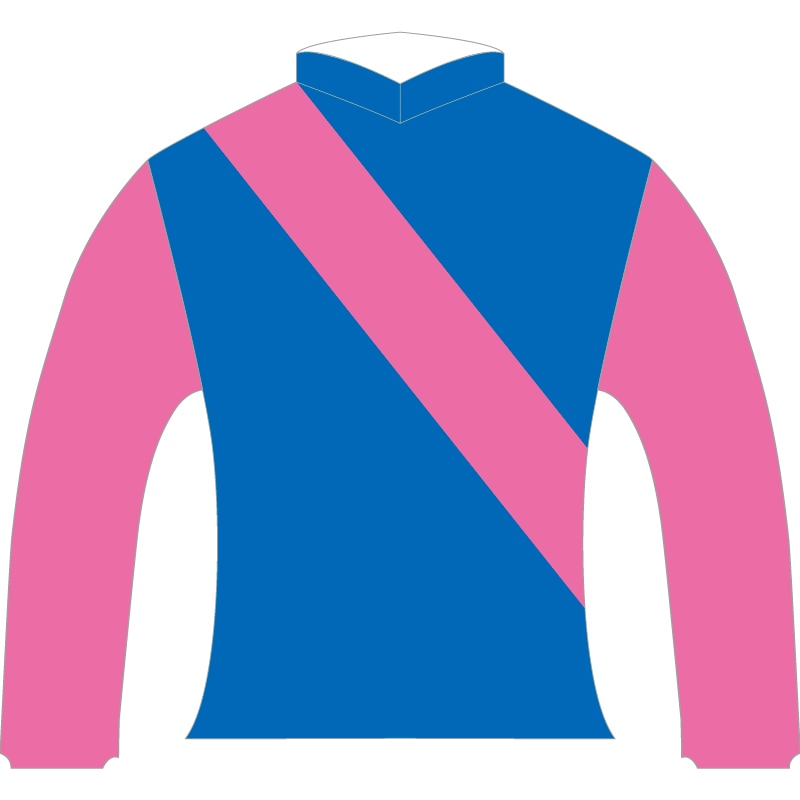 勝負服レプリカ2025宝塚記念【メイショウタバル】 | カテゴリー一覧