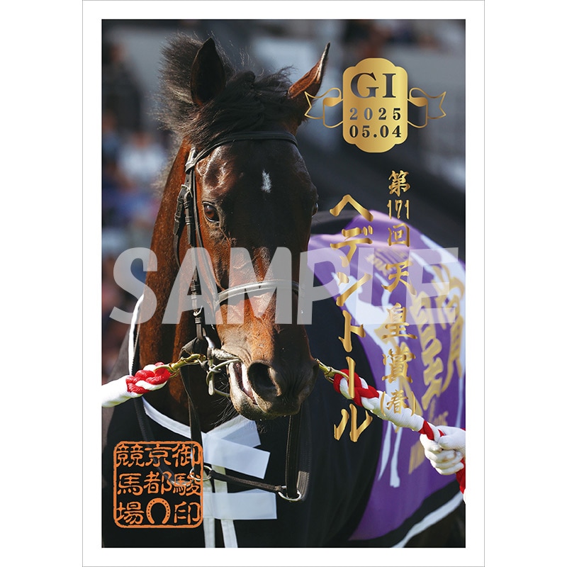 御駿印 2025天皇賞(春)【ヘデントール】 | カテゴリー一覧,御駿