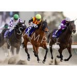 競馬　オーギュストロダン　ウォールデコパネル 英ダービー馬オーギュストロダングッズ登場 | JRA-VANスマホアプリ