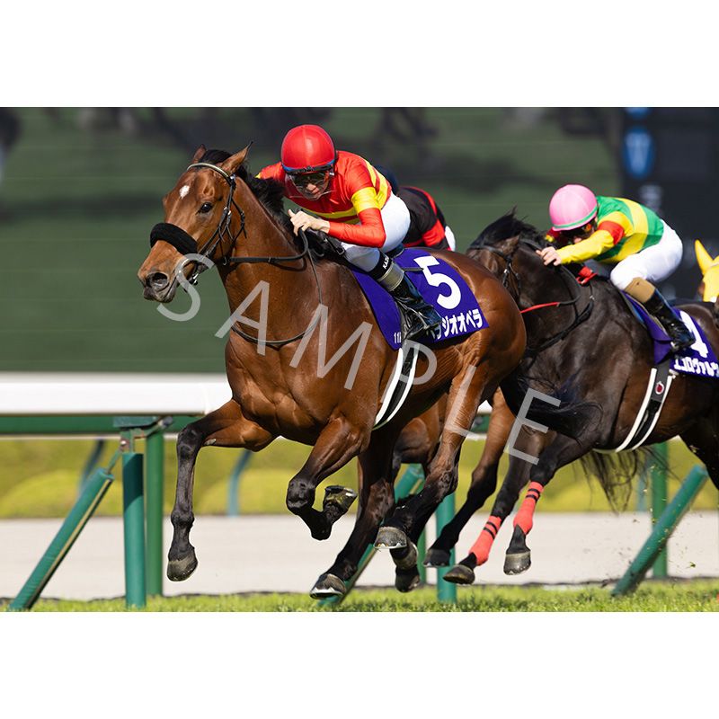 アイドルホース7種類セット ターフィー通販クラブ