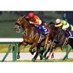 カテゴリー一覧,2025年GIウォールデコパネル | ターフィー通販クラブ