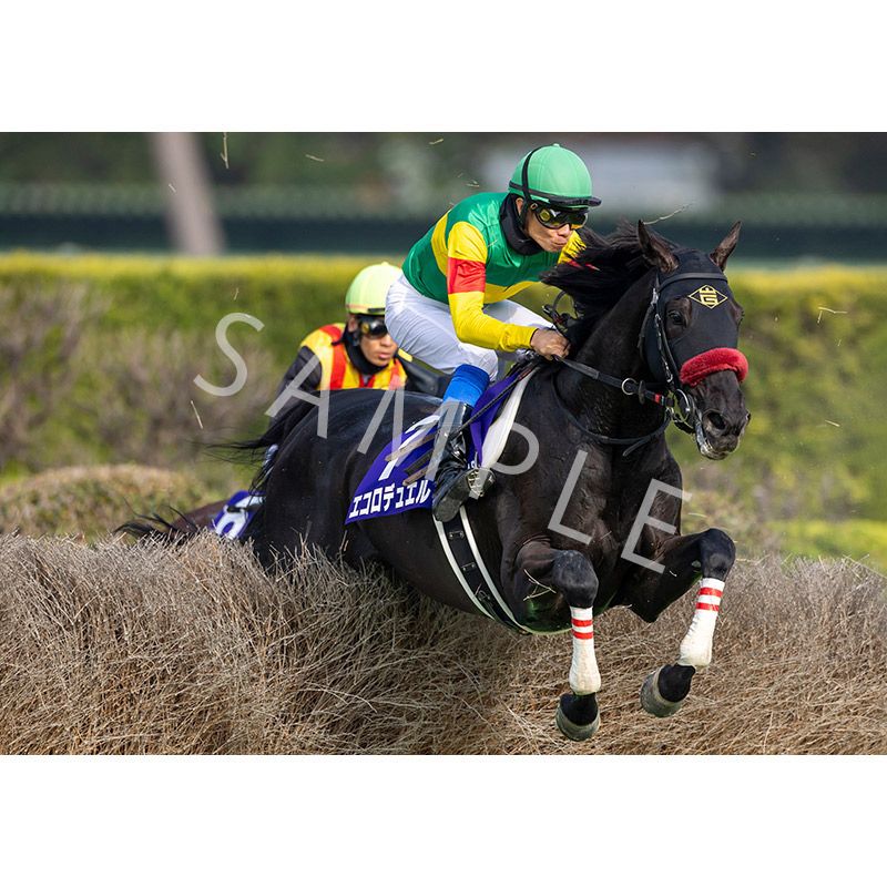 ǥѥͥ2025ȾGI 滳ɥסڥǥ奨