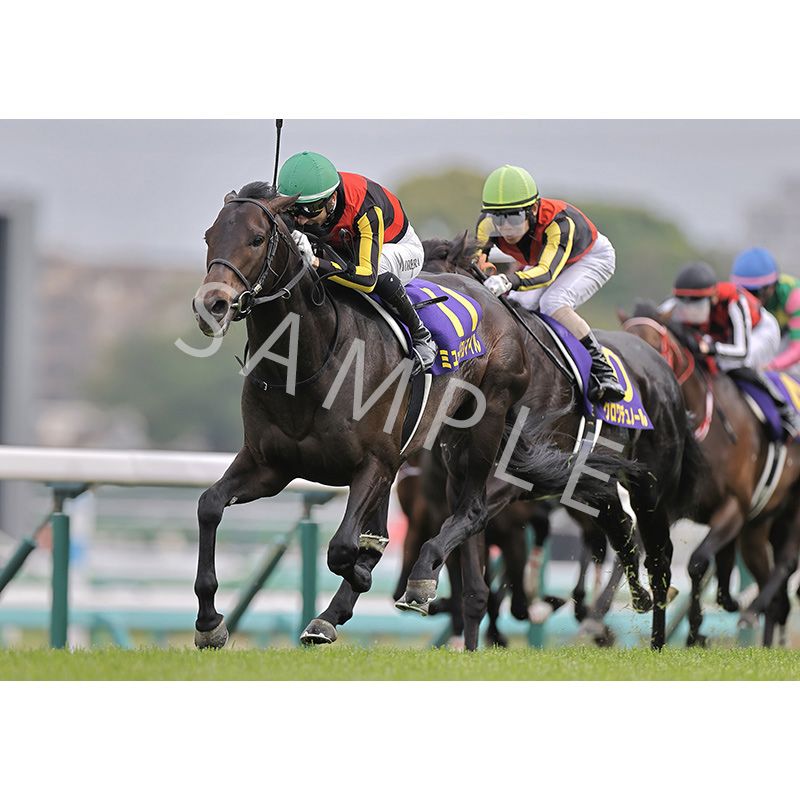 ǥѥͥ2025ȾGI ޡڥߥ塼ޥ