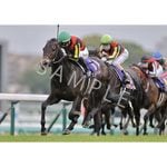 カテゴリー一覧,2025年GIウォールデコパネル | ターフィー通販クラブ