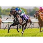 カテゴリー一覧 | ターフィー通販クラブ