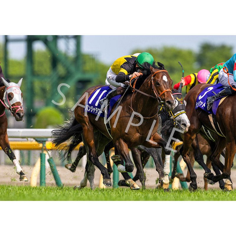 ǥѥͥ2025ȾGI NHKޥCڥѥ󥸥㥿