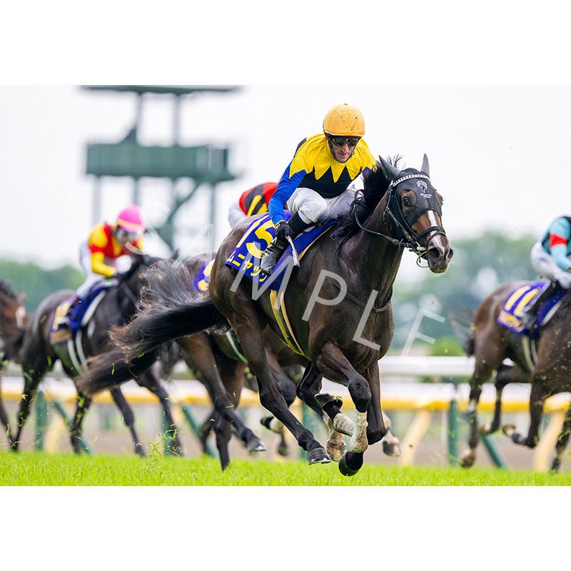 ǥѥͥ2025ȾGI ڥ˥å