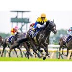 競馬　オーギュストロダン　ウォールデコパネル 英ダービー馬オーギュストロダングッズ登場 | JRA-VANスマホアプリ