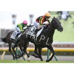 競馬　オーギュストロダン　ウォールデコパネル 英ダービー馬オーギュストロダングッズ登場 | JRA-VANスマホアプリ