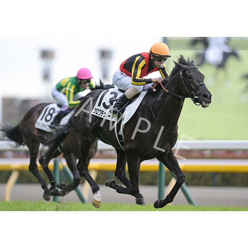 ウォールデコパネル2025上半期GI 日本ダービー【クロワデュノール