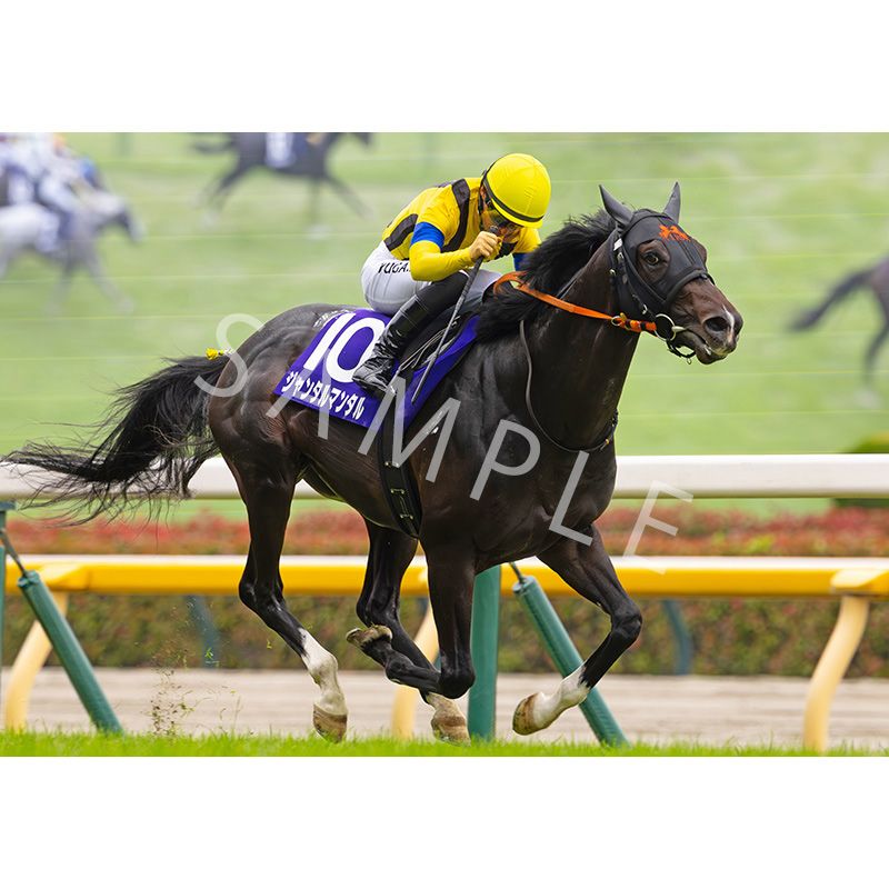 ターフィー通販クラブ