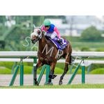 【競馬】ドウデュース・ジャパンカップマフラータオル型キーホルダー／入手困難 ターフィーショップ_jra競馬グッズ - 【中京記念マフラータオル