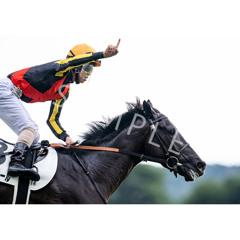 競馬 名馬 大きいパネル^o^ 競馬 名馬 大きいパネル^o^ 競馬 名馬