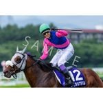 ターフィー通販クラブ