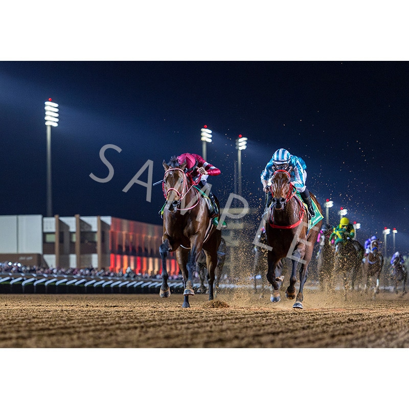 ウォールデコパネル2025上半期GI 【EX】サウジカップ【フォーエバー