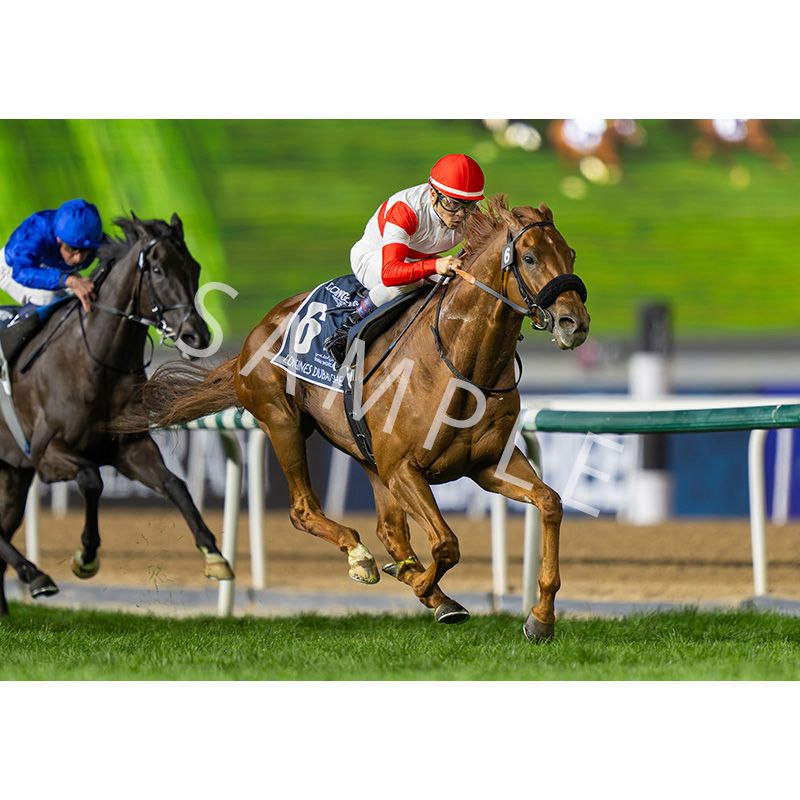 セレモニーターフィー Amazon.co.jp: セレモニーターフィー ぬいぐるみ 競馬 JRA
