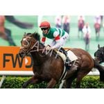 未開封⬜︎競馬グッズ④⬜︎勝負服ストラップ⬜︎想い出馬券ホルダー⬜︎馬番ボールペン ターフィーショップ_JRA競馬グッズ on X: 