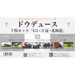 ̾ϥꥢե륻åȡ7ȡ˥ɥǥ塼