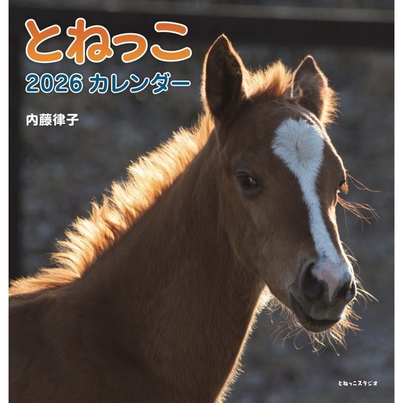 2026ǯ��ƣΧ�ҤȤͤä���������