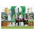 ٰ 2025NHKޥ륫åסڥѥ󥸥㥿