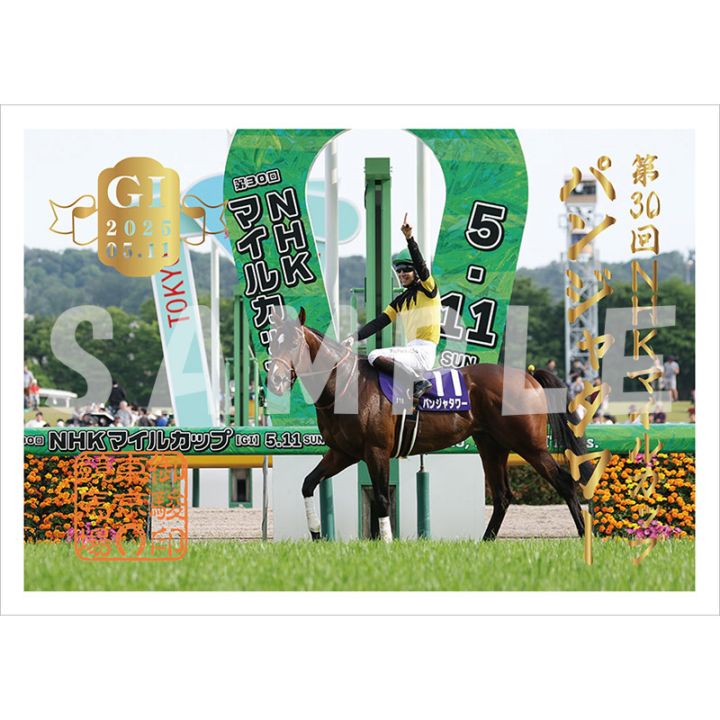 御駿印 2025NHKマイルカップ【パンジャタワー】 | カテゴリー一覧,御駿