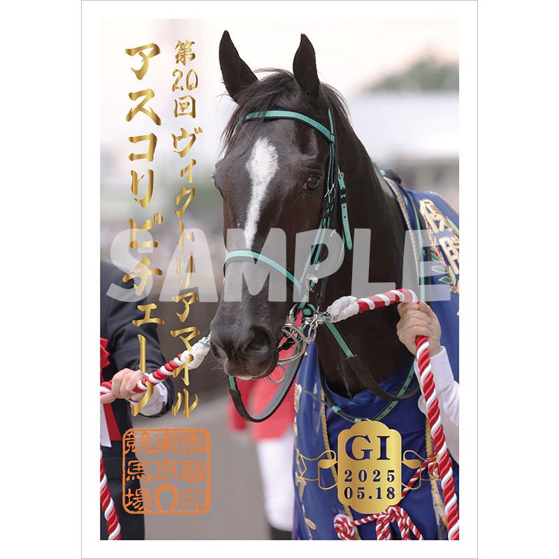 ٰ 2025ȥꥢޥڥԥΡ