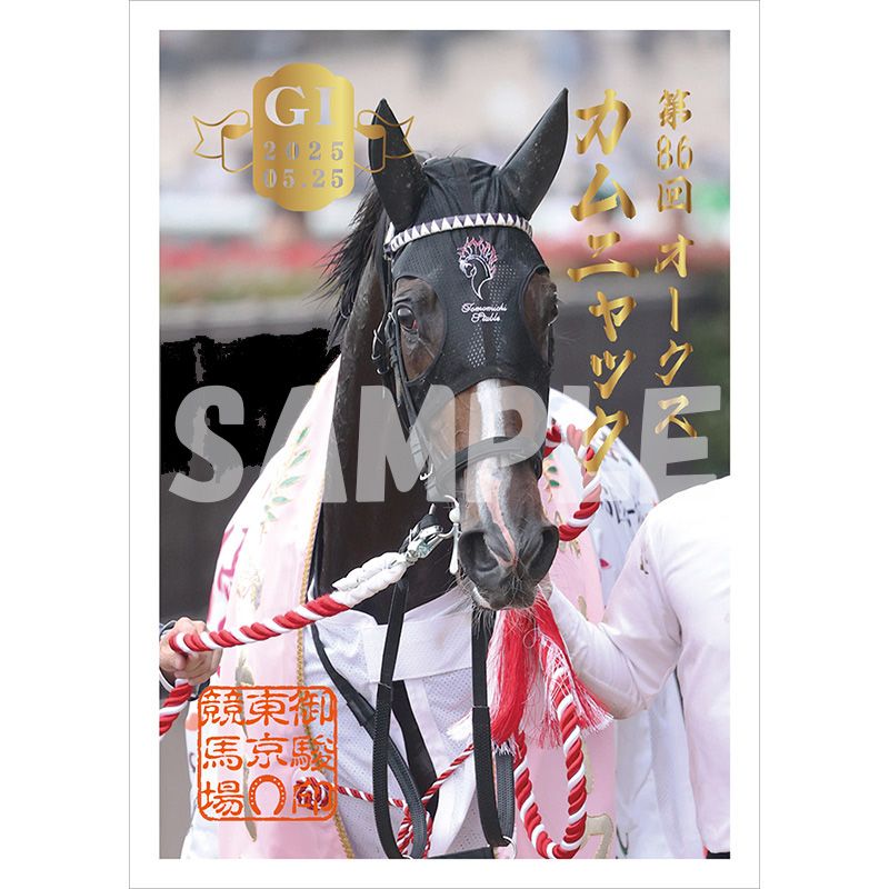 ターフィー通販クラブ