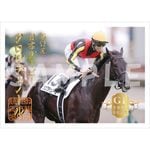大井競馬場　騎手印　御駿印新品未開封34枚コンプリートセット 大井競馬場 騎手印 御駿印新品未開封34枚コンプリートセット カテゴリー