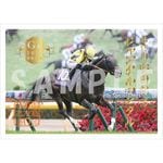 大井競馬場　騎手印　御駿印新品未開封34枚コンプリートセット 大井競馬場 騎手印 御駿印新品未開封34枚コンプリートセット カテゴリー