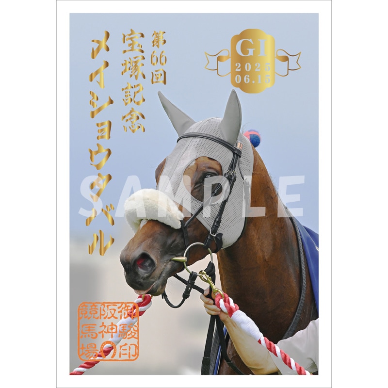 御駿印 2025宝塚記念【メイショウタバル】 | カテゴリー一覧,御駿印