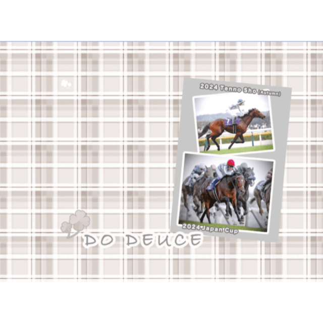 ブランケット【ドウデュース/天皇賞(秋)・ジャパンカップ