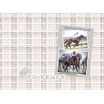 ֥󥱥åȡڥɥǥ塼/ŷľ()ѥ󥫥åס