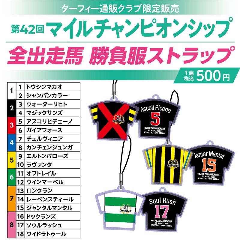 競馬 JRA G1 勝負服ストラップ 700円 12月中旬発送】第42回マイルチャンピオンシップ勝負服ストラップ