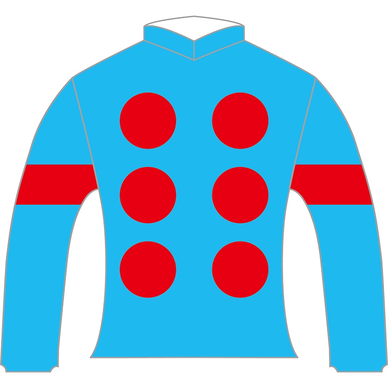 勝負服レプリカ2025秋華賞【エンブロイダリー】 | カテゴリー一覧,勝負