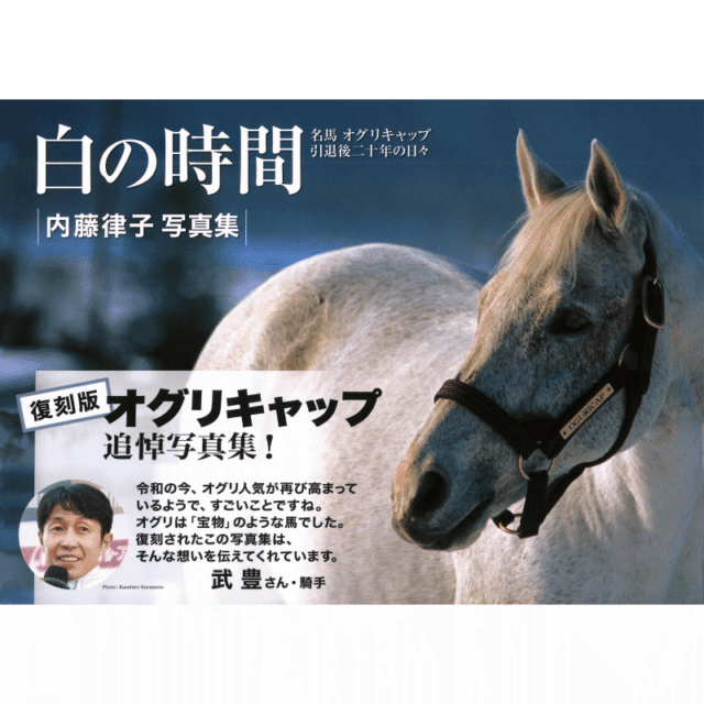 白の時間 : 名馬オグリキャップ引退後二十年の日々 : 内藤律子写真集 白の時間 復刻版 | カテゴリー一覧,書籍・写真・写真集 | ターフィー