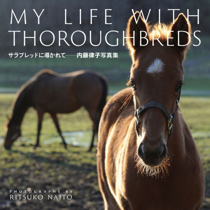 ����֥�åɤ�Ƴ����� ��ƣΧ�� �̿���