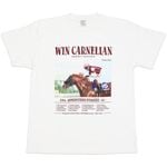 2025���ץ�󥿡������ơ����������ʡ��ԥ���ġڥ����󥫡��ͥꥢ���