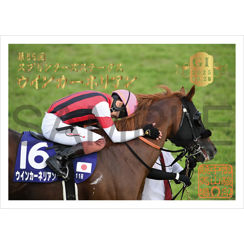 御駿印 2025スプリンターズステークス【ウインカーネリアン
