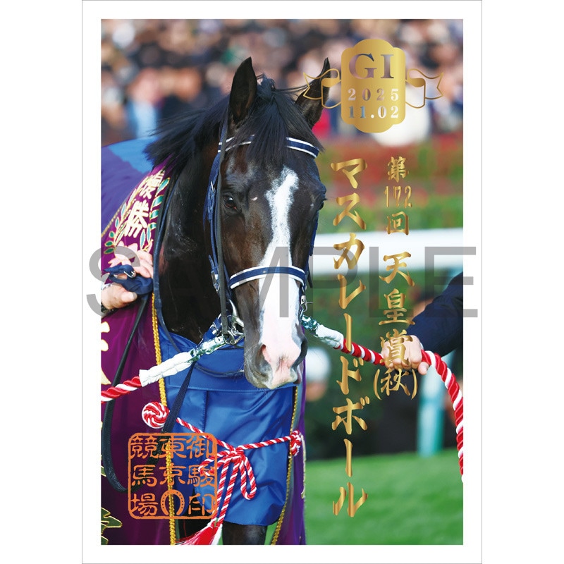 御駿印 2025天皇賞(秋)【マスカレードボール】 | カテゴリー一覧,御駿