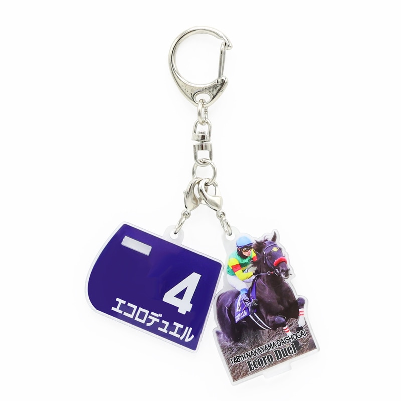 GⅠアクリルキーホルダー【'25中山大障害】 | カテゴリー一覧