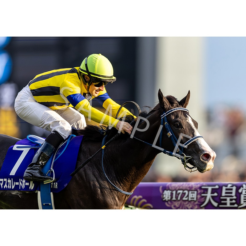 ウォールデコパネル2025下半期GI 【EX】天皇賞（秋）【マスカレード