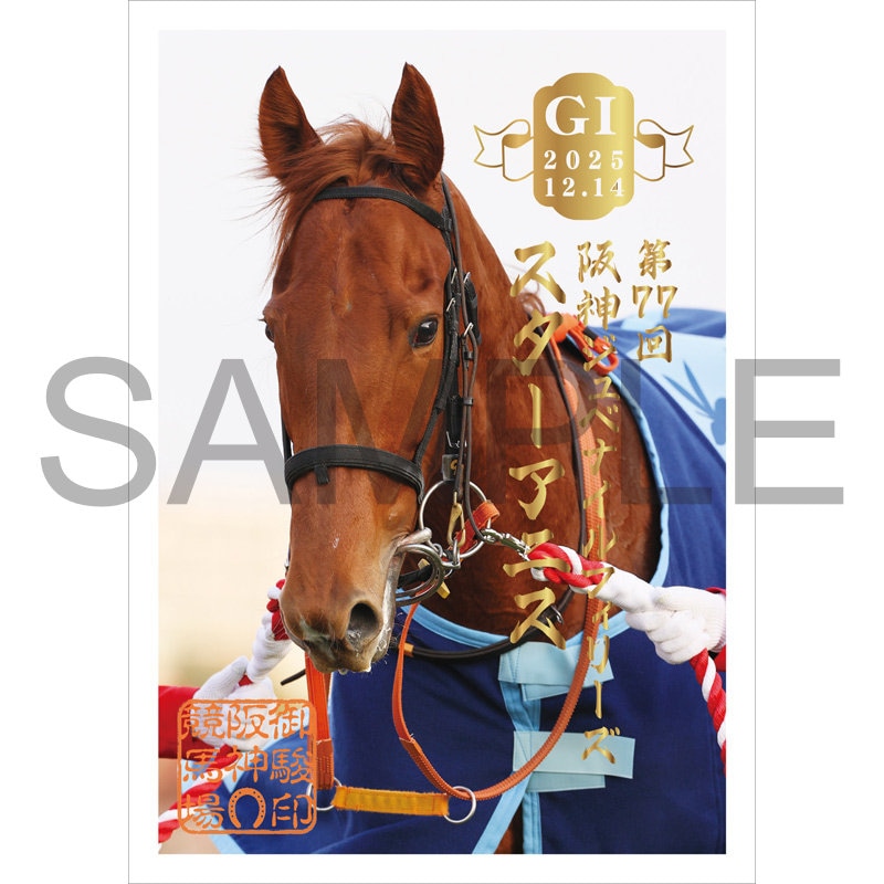 ��ٰ� 2025�������٥ʥ���ե��꡼���ڥ��������˥���