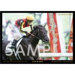 人気馬から探す,クロワデュノール | ターフィー通販クラブ